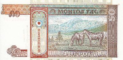 Beschrijving achterzijde: HORSE